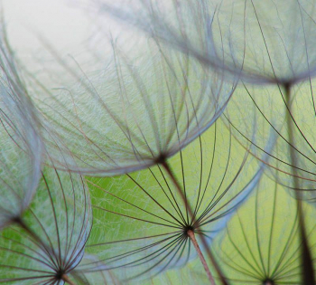 as creation kollektion xxlwallpaper 2